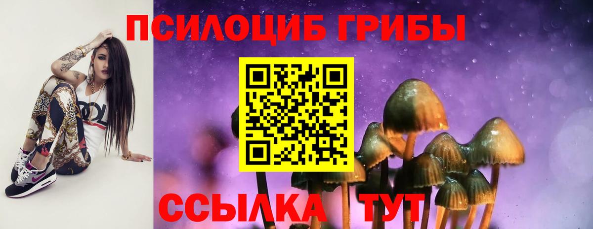 Киров  Псилоцибиновые грибы Cubensis  Вход с VPN 